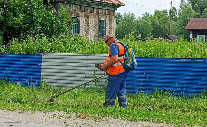 В Центральном районе проводятся работы по покосу травы