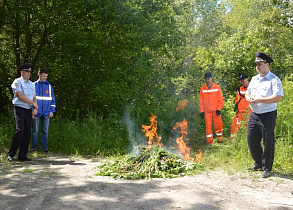 В Барнауле уничтожили очаг дикорастущей конопли вдоль улицы 3-й Речной