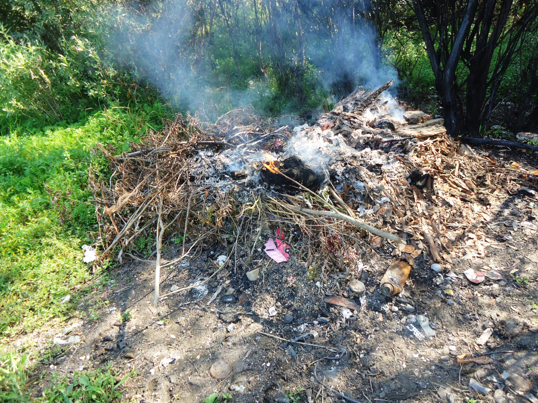 В частном секторе Барнаула проверили санитарный порядок
