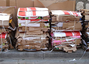 Барнаульцы сдали на переработку почти шесть тонн макулатуры. Акция продолжается