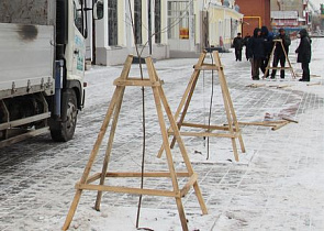 Молодые клены на Мало-Тобольской обрели защиту