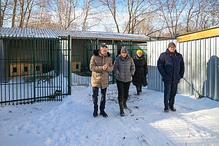 В Барнауле прошло выездное совещание на территории приюта «Ласка» 