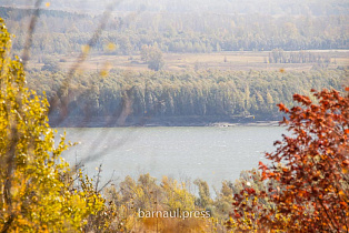 Барнаульцы могут принять участие в экологической акции по уборке берега Оби