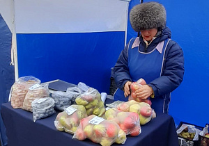 229 предприятий Алтайского края представили свою продукцию на субботней ярмарке в Барнауле