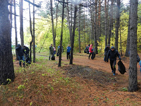 В лесном массиве напротив базы «Локомотив» прошел экологический субботник