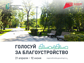 Меньше недели осталось, чтобы выбрать территорию, которую благоустроят в Барнауле в 2026 году 