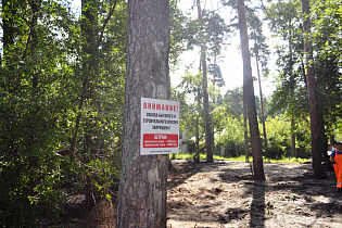 Год экологии: новый способ сбора мусора успешно реализуется в пригороде Барнаула