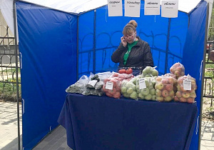 В Барнауле продолжаются межведомственные рейды по пресечению незаконной уличной торговли