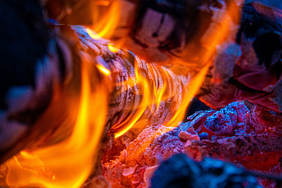 Барнаульцам напоминают: сжигание отходов не только пожароопасно, но и вредит экологии