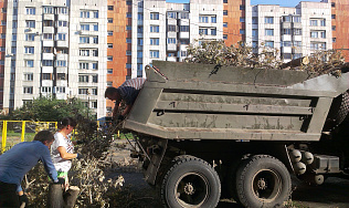 Еще одну эко-акцию провели общественники Барнаула