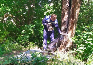 В Барнауле студенческие  экологические отряды продолжают трудовой сезон