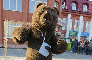 Барнаульский медведь посетит улицу Мало-Тобольскую