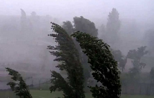 В крае и Барнауле сохранится жаркая погода с грозами и ветрами