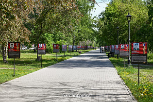 Аллея по ул. Малахова находится в тройке лидеров в голосовании за объекты благоустройства