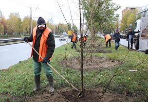 Как озеленители готовятся к зиме, расскажет очередной выпуск программы «На первом плане. Барнаул» 