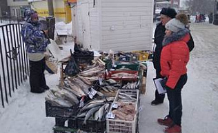 В Барнауле провели рейд по несанкционированной торговле в районе «Докучаево»