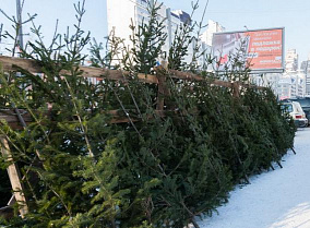 64 елочных базара откроются в Барнауле: карта