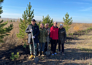 В барнаульском микрорайоне Авиатор высадили саженцы сибирской сосны