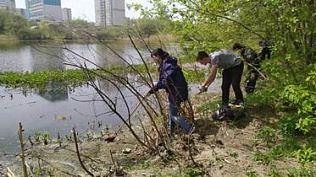 На безымянном озере по улице Гущина вновь прошла акция по уборке мусора