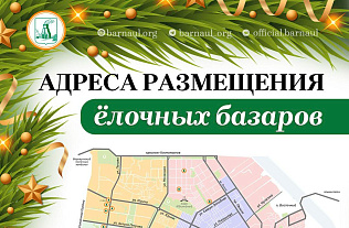 28 елочных базаров начнут работать в Барнауле 