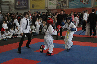 В Барнауле дали старт международному фестивалю единоборств