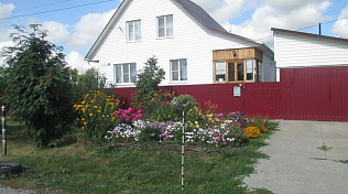 В Барнауле рекомендовано приостановить проверки земельного контроля в части соблюдения красных линий в частном секторе