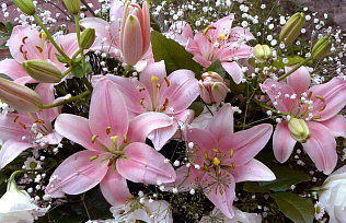 Глава Барнаула Вячеслав Франк поздравляет работников торговли с профессиональным праздником