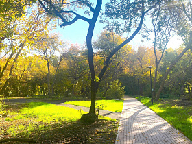 В Барнауле по нацпроекту «Инфраструктура для жизни» продолжается благоустройство общественных территорий