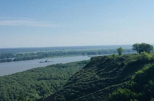 Экологический фестиваль «Наш дом- Барнаул» впервые состоялся в онлайн формате