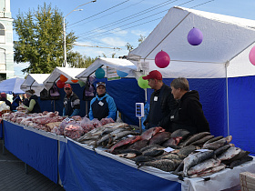 В краевой столице стартует сезон осенних продовольственных ярмарок «Сделано в Барнауле»