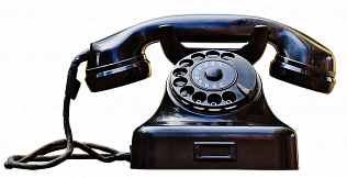 На «прямой линии» - председатель комитета по социальной поддержке населения Софья Решетникова