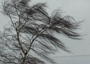 18-19 октября в Алтайском крае объявлено штормовое предупреждение