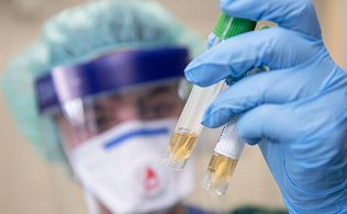 В Алтайском крае за сутки выявлено 40 новых случаев заболевания и зарегистрирован один факт смерти пациента с коронавирусной инфекцией 