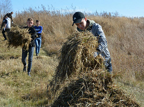 Барнаульские студенты-волонтёры стали участниками акции по уничтожению дикорастущей конопли на реке Ляпиха