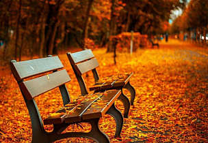 Новый сквер появится на пересечении улиц Максима Горького и Пушкина в Барнауле