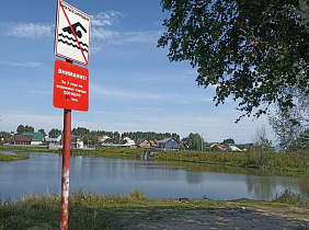 Представители педагогического сообщества патрулируют берега водоемов в Барнауле