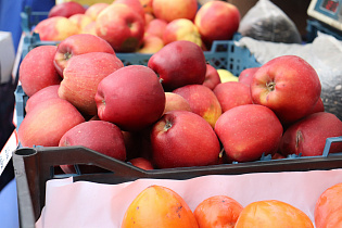 В последний день апреля в Барнауле вновь пройдут продуктовые ярмарки