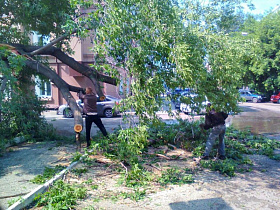 На улицах Барнаула разбирают сломанные ветром ветки и деревья