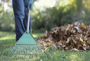 Общегородской субботник пройдет сегодня в Барнауле 