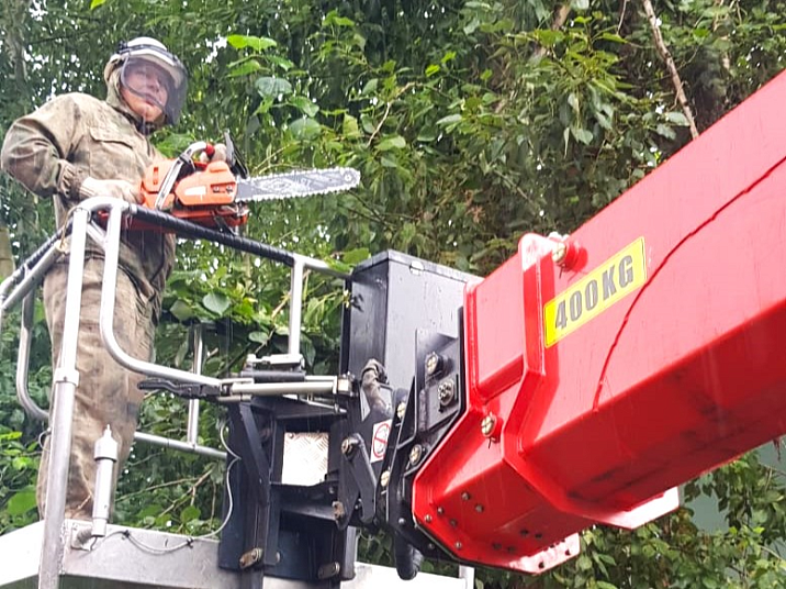 В течение недели работы по сносу аварийных деревьев будут вестись в Октябрьском районе