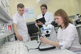 В АлтГУ начали разработку инновационных лекарственных препаратов от сердечно-сосудистых патологий
