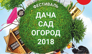 Барнаульцев приглашают на фестиваль садоводства 