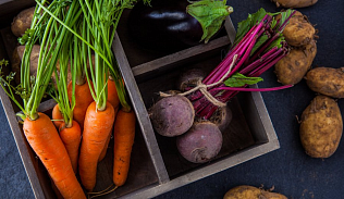 В эту субботу барнаульцы вновь смогут посетить продовольственные ярмарки