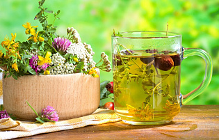 Фармацевтический завод «Гален» приглашает туроператоров посетить производство фитопродукции 