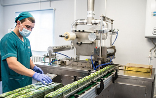 В Барнауле продолжается развитие промышленного туризма