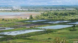 Общественные обсуждения: Барнаульская компания планирует выпускать удобрения из осадков сточных вод