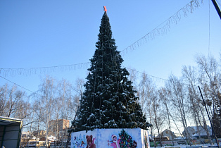 Главную елку Индустриального района Барнаула перенесут в Парк спорта