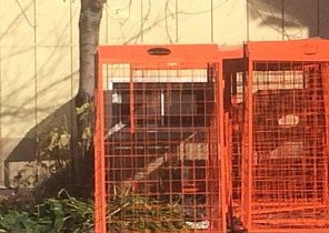 В сервисе 2GIS появилась карта дислокации контейнеров для пластика в Барнауле