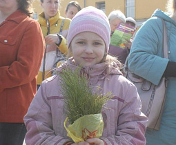 Более 20 тысяч саженцев хвойных деревьев получили в подарок барнаульцы