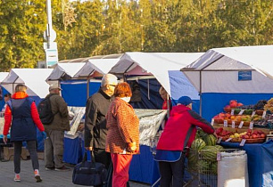 Своё, родное: как прошел сезон ярмарок выходного дня в Барнауле